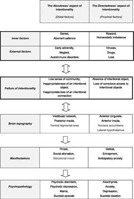 Modeling intentionality in the human brain